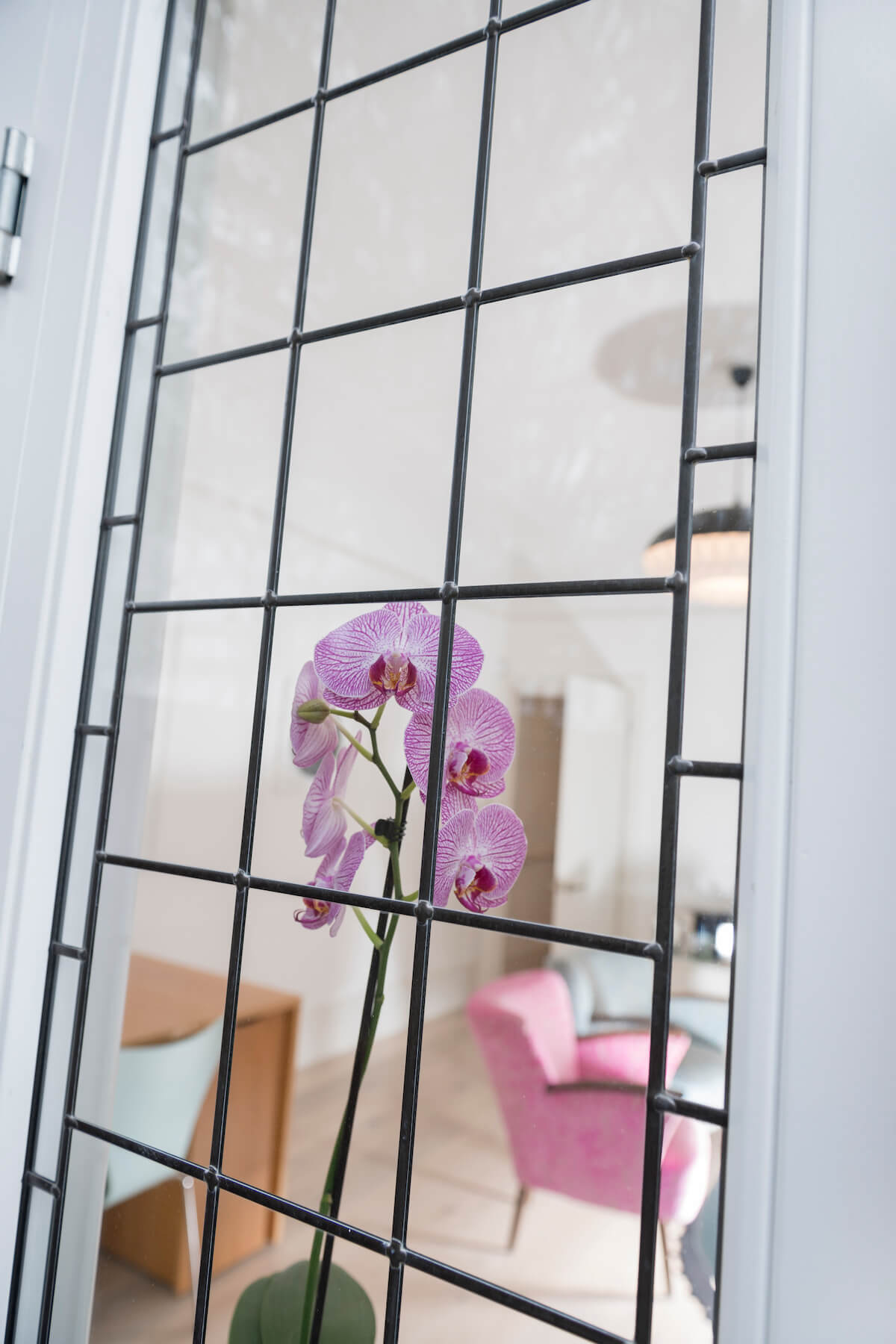 Orchid behind window